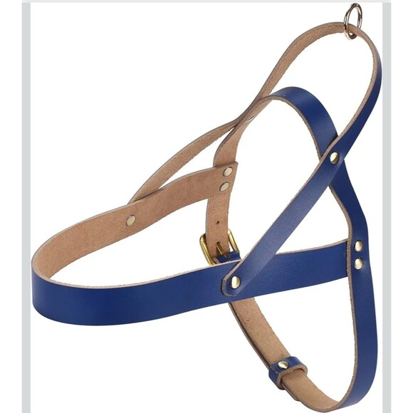 Black Rhino Other - Black Rhino Leather Padded Dog Harness Heavy Duty Leather 10x8x8 Inch Blue
